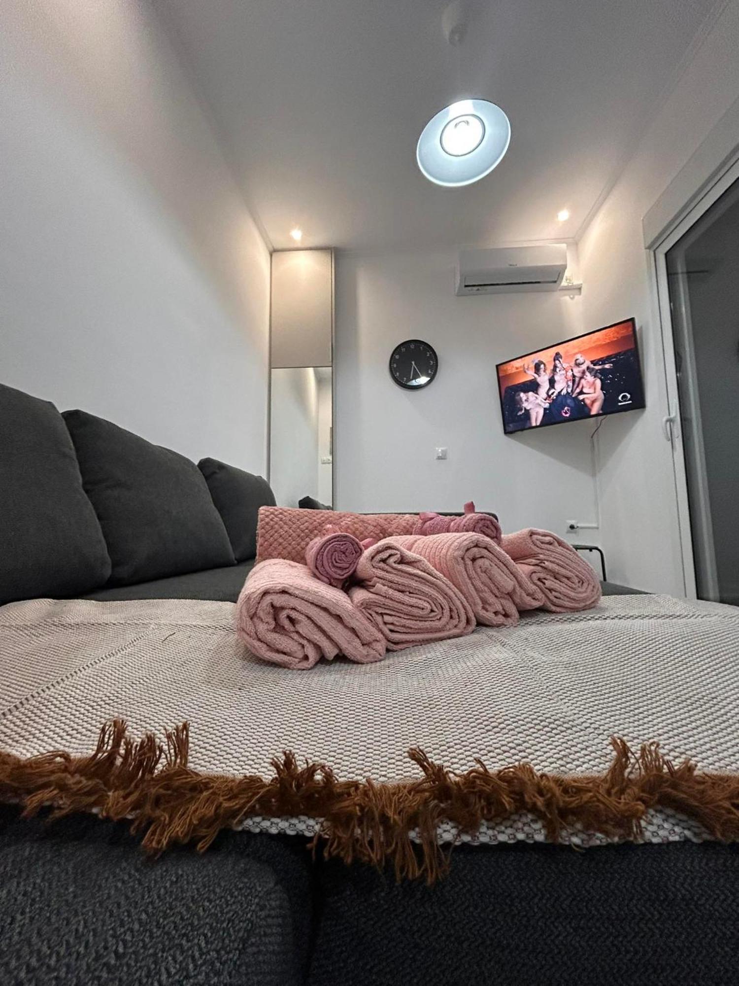 Artemis Nest 1