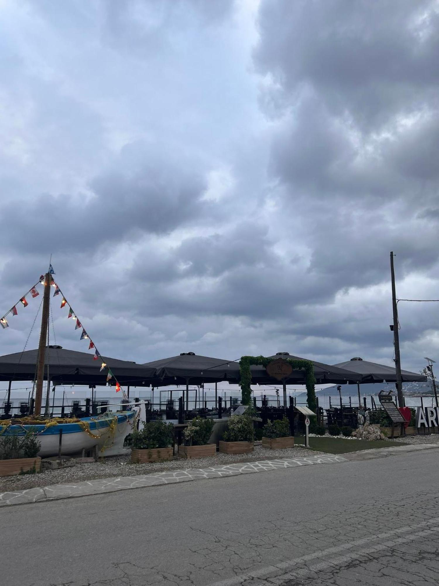 Artemis Nest 1 * Artemida (Attica)
