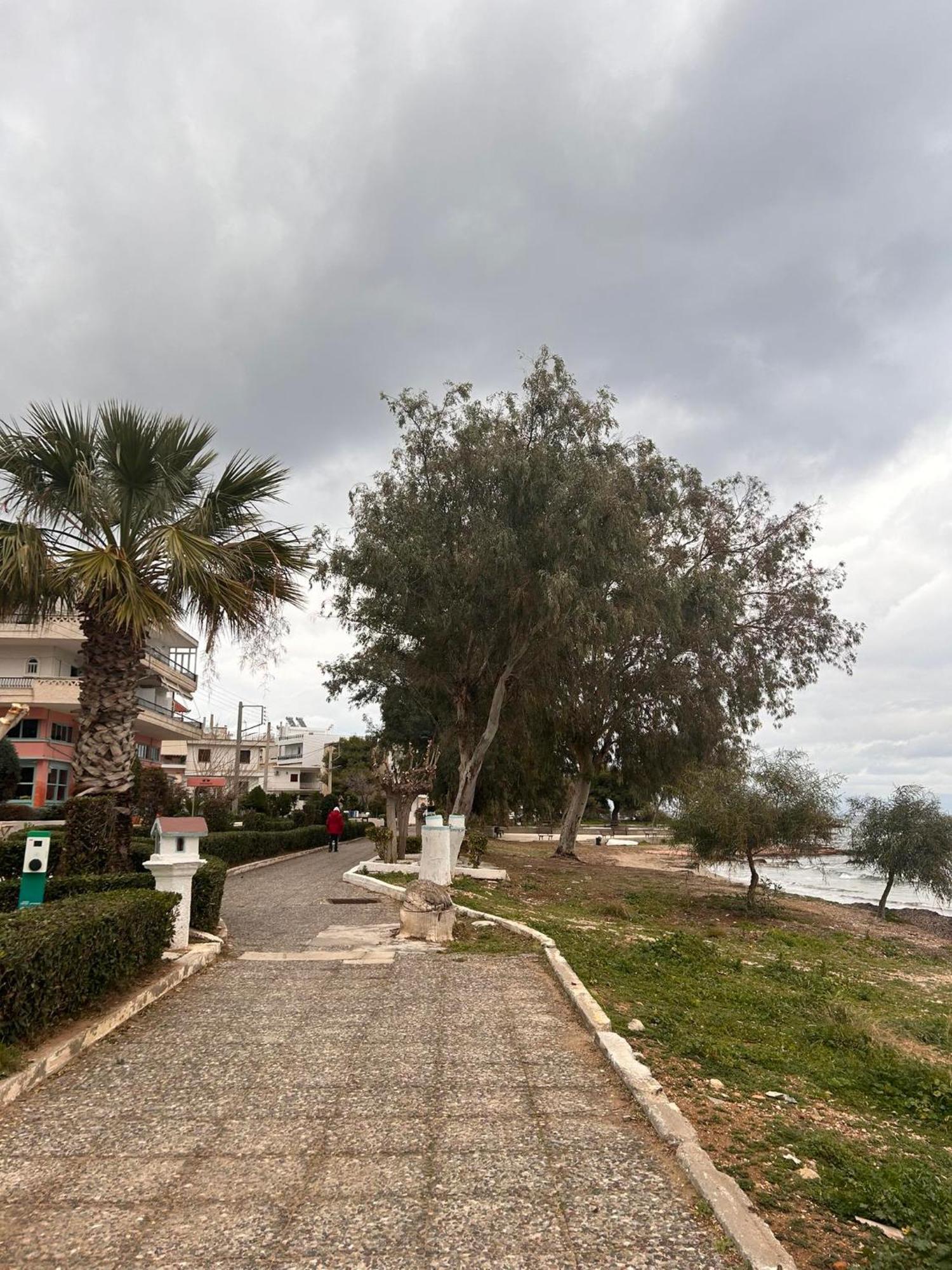Artemis Nest 1 Apartment Artemida (Attica)